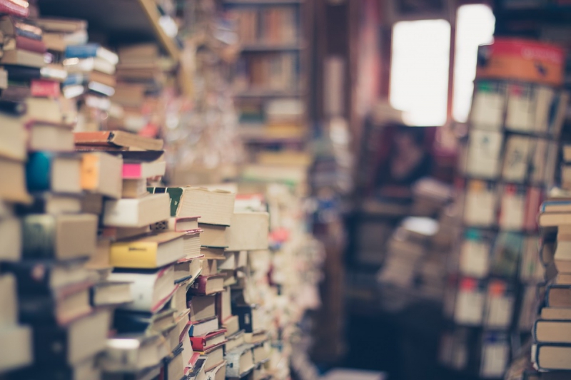 magasin-VILLENEUVE LOUBET-min_books_stack_book_store_stack_of_books_2nd_hand_retro_hipster_shop-829090